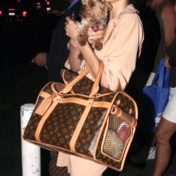 Louis Vuitton Sac Chien 50 - Picture 2 of 13